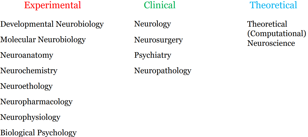 (Neuroscience의 구분)