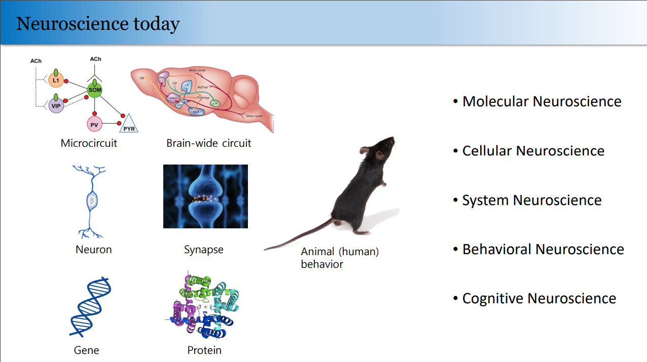 (Neuroscience의 구분)